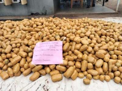 Ogun Customs Seizes N2Bn Worth Of Cannabis Sativa
