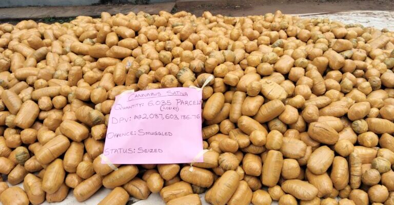 Ogun Customs Seizes N2Bn Worth Of Cannabis Sativa