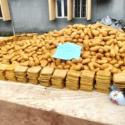 NCS Hands Over 1,878kg Cannabis Worth ₦1.93bn To NDLEA In Ogun