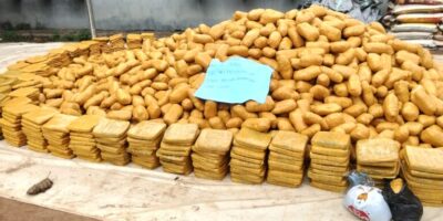 NCS Hands Over 1,878kg Cannabis Worth ₦1.93bn To NDLEA In Ogun
