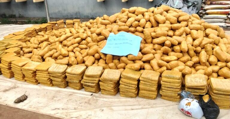 NCS Hands Over 1,878kg Cannabis Worth ₦1.93bn To NDLEA In Ogun