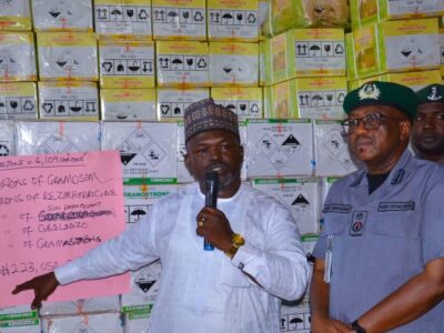 Kebbi Customs Seizes ₦223m Toxic Pesticides, Cannabis, 49 Rounds Of Ammunition