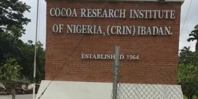 3 Abducted CRIN Workers Regain Freedom After Six Days In Captivity