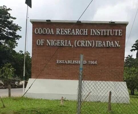 3 Abducted CRIN Workers Regain Freedom After Six Days In Captivity